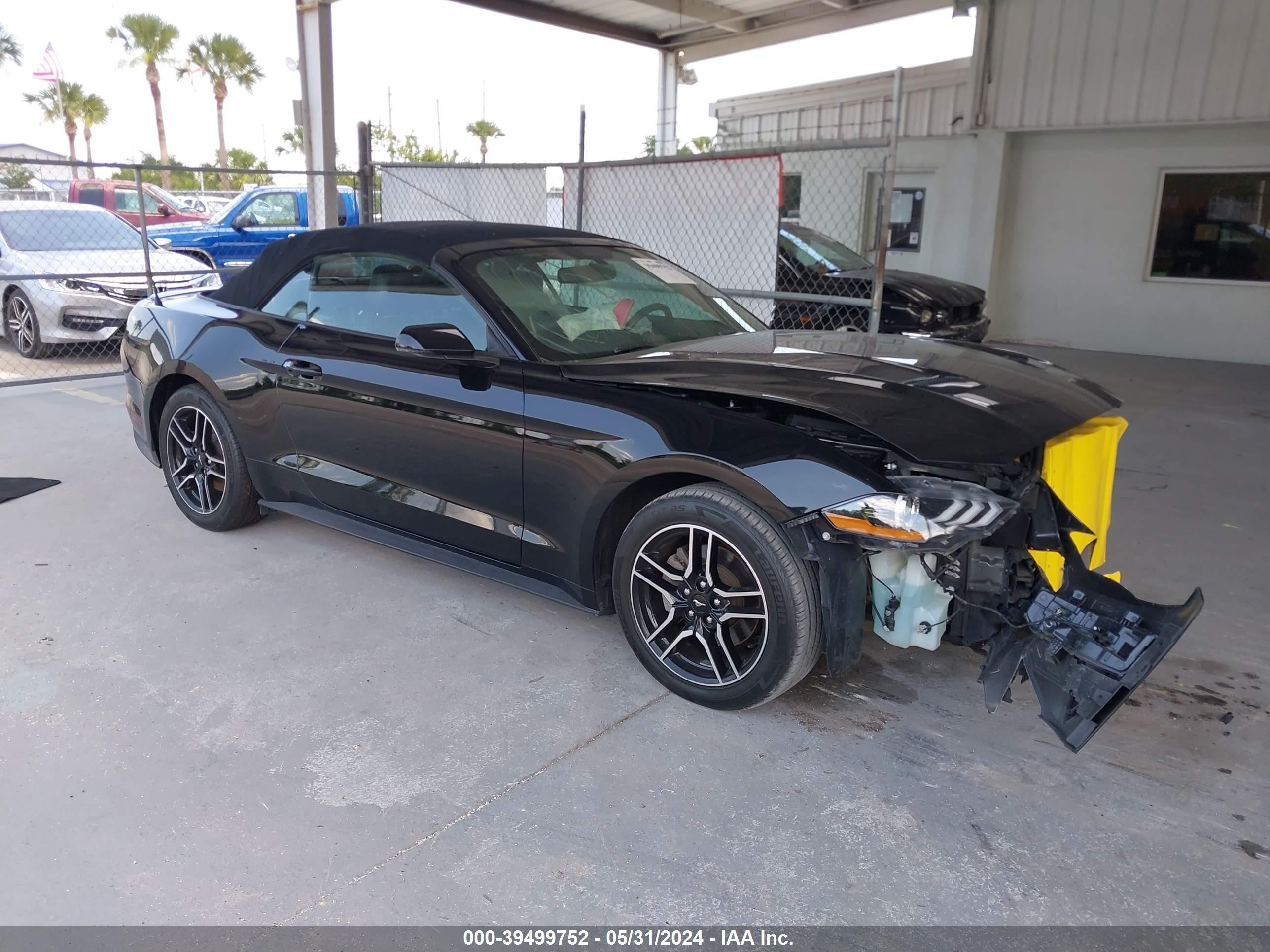 FORD MUSTANG 2019 1fatp8uh4k5162247