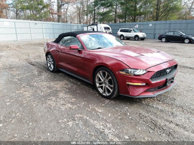 FORD MUSTANG 2019 1fatp8uh4k5184233