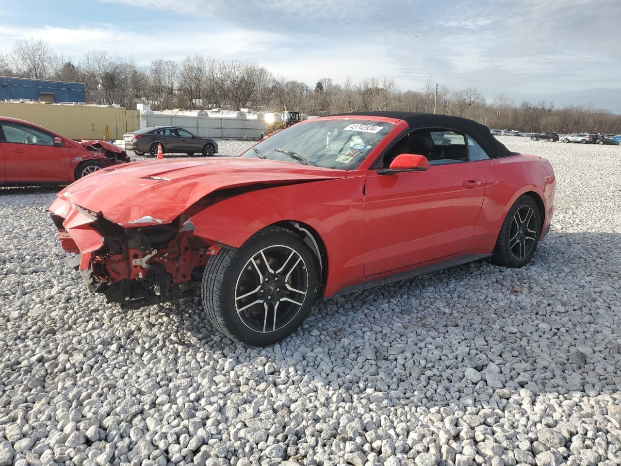 FORD MUSTANG 2019 1fatp8uh5k5109525