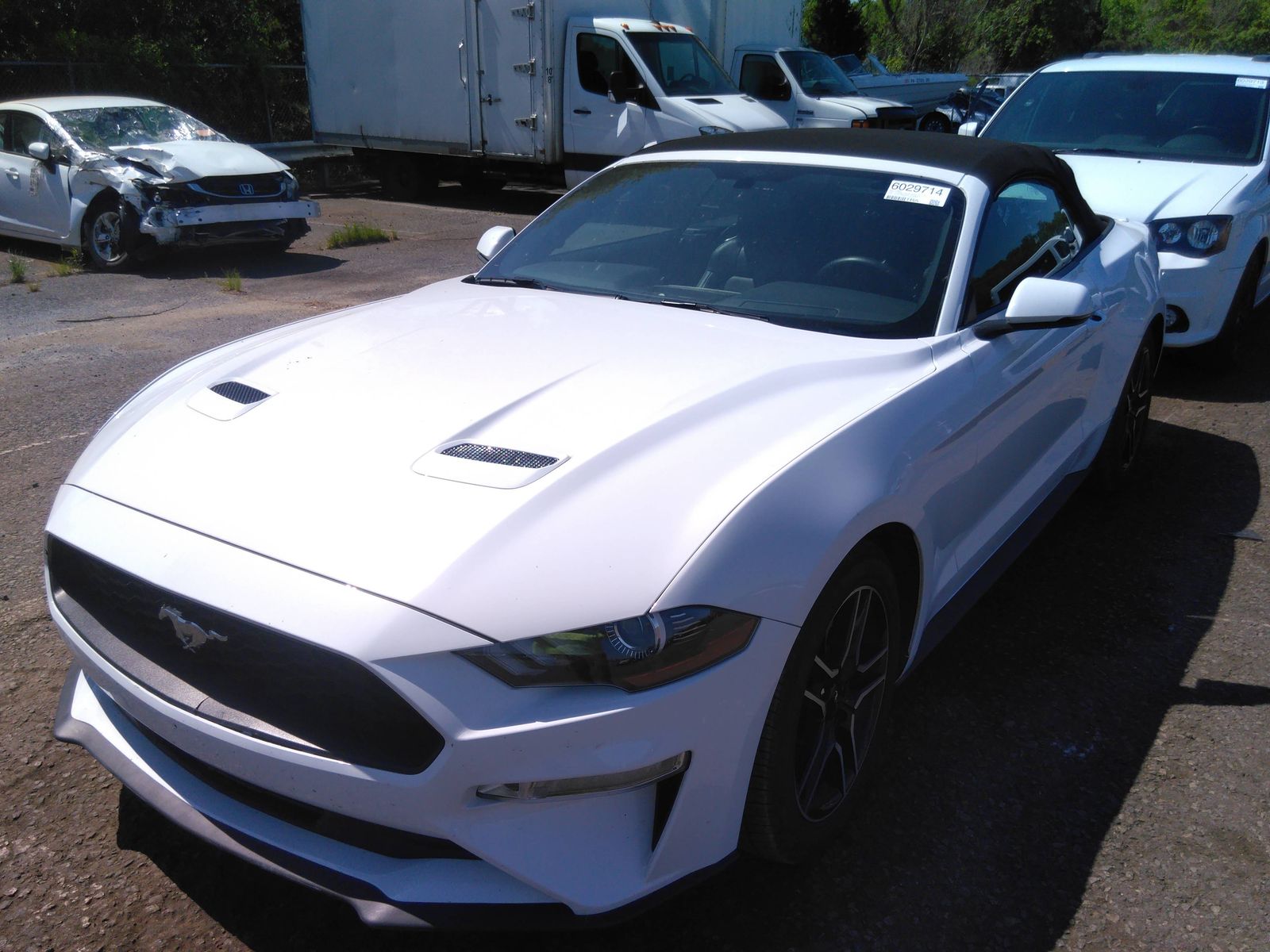 FORD MUSTANG 4C CNV 2020 1fatp8uh5l5186350