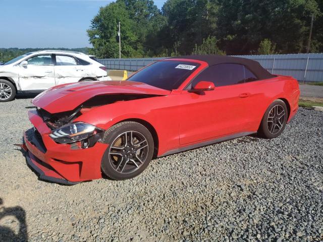 FORD MUSTANG 2019 1fatp8uh6k5125975