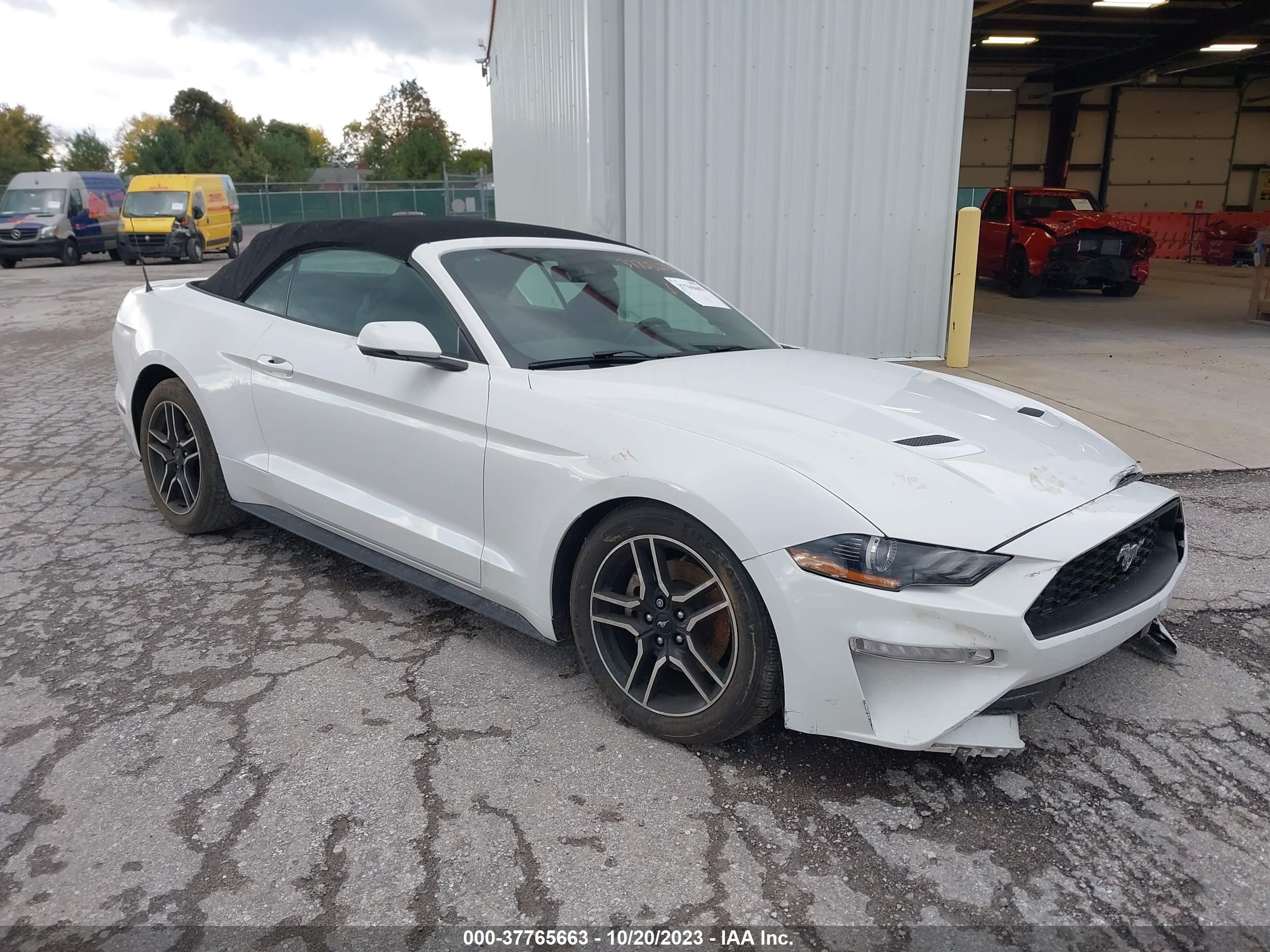 FORD MUSTANG 2019 1fatp8uh6k5141772