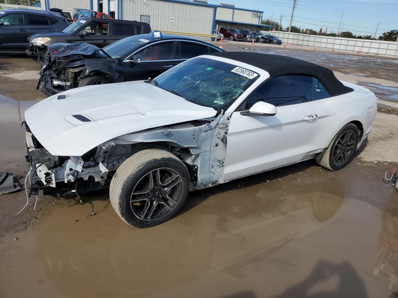 FORD MUSTANG 2019 1fatp8uh6k5162458