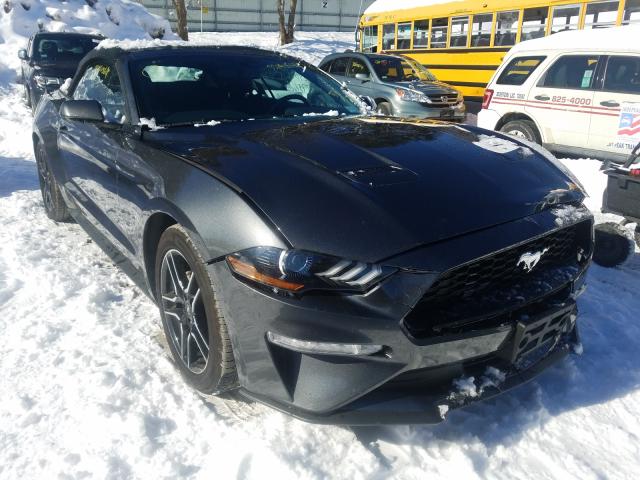 FORD MUSTANG 2019 1fatp8uh6k5169913