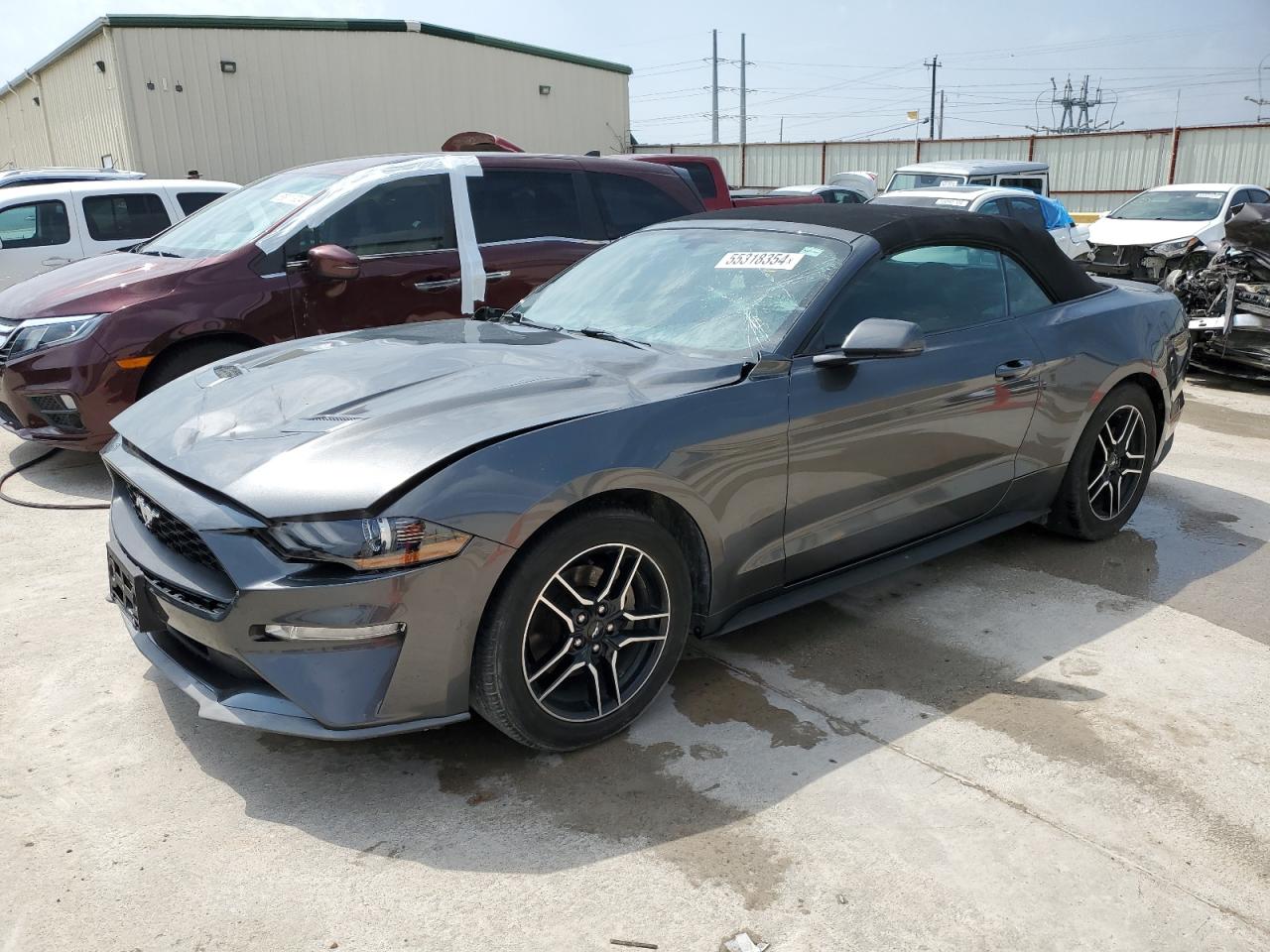 FORD MUSTANG 2019 1fatp8uh7k5162405