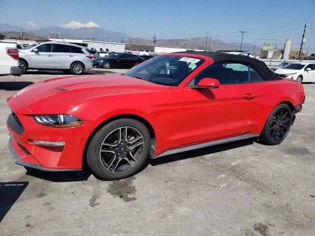 FORD MUSTANG 2019 1fatp8uh7k5171024