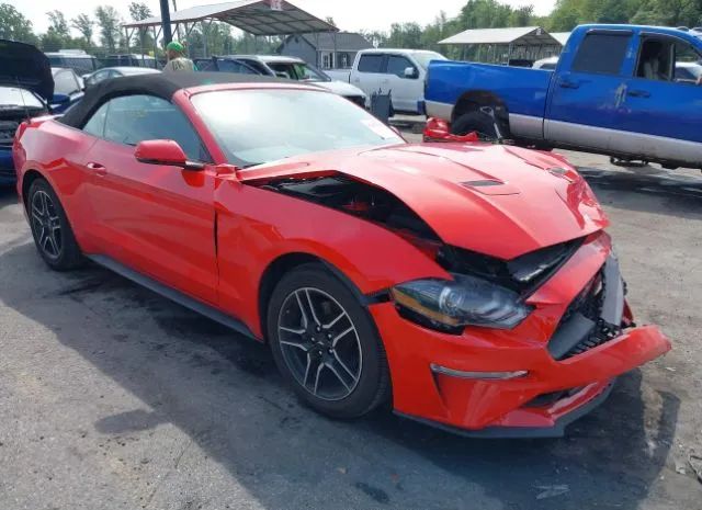 FORD MUSTANG 2019 1fatp8uh7k5171248