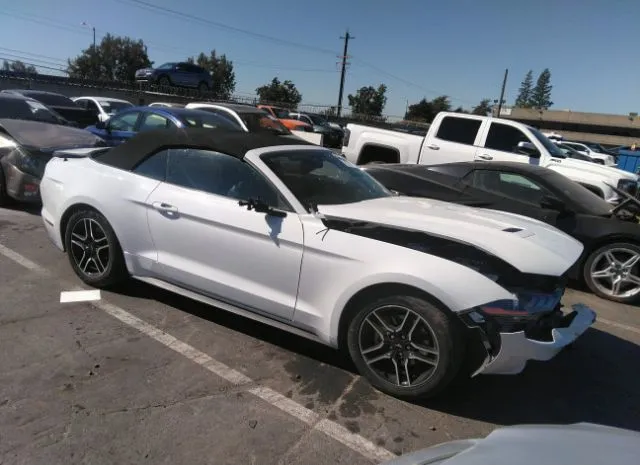 FORD MUSTANG 2019 1fatp8uh7k5181682