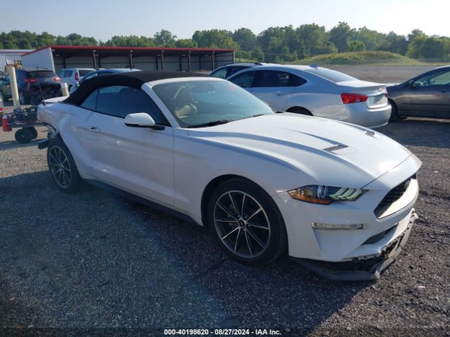 FORD MUSTANG 2019 1fatp8uh7k5184307