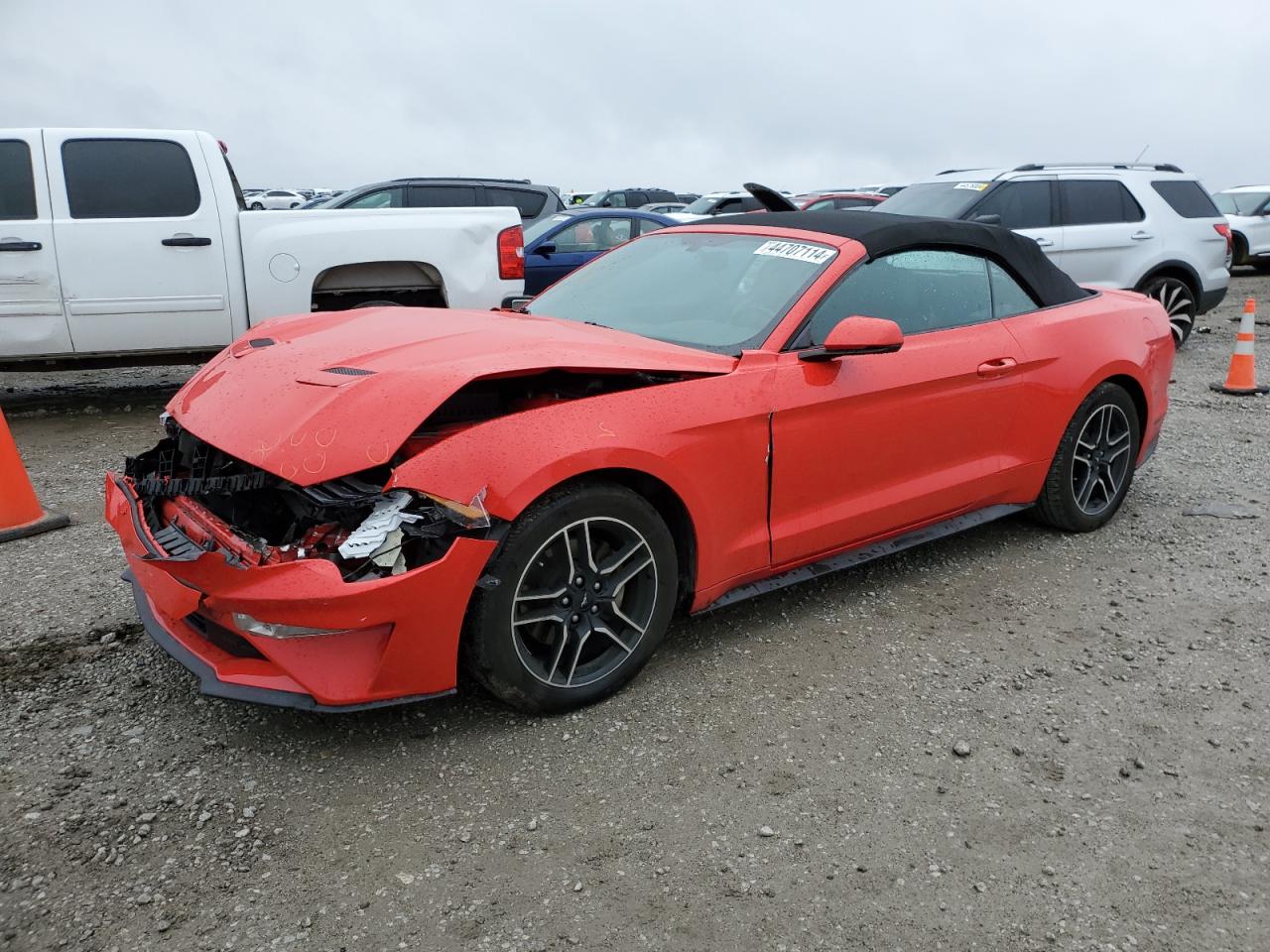 FORD MUSTANG 2019 1fatp8uh8k5150862