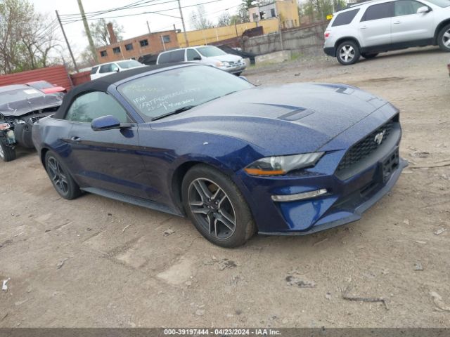 FORD MUSTANG 2019 1fatp8uh8k5162252