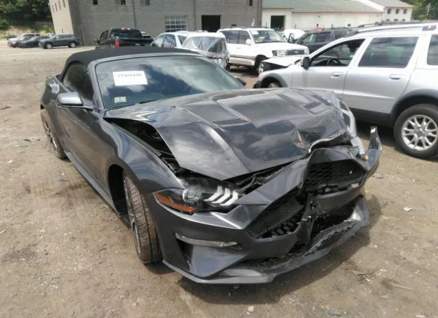 FORD MUSTANG 2019 1fatp8uh8k5171372