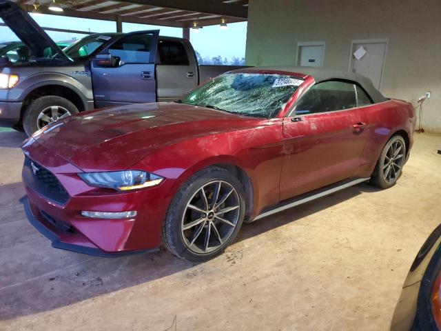 FORD MUSTANG 2019 1fatp8uh9k5149901