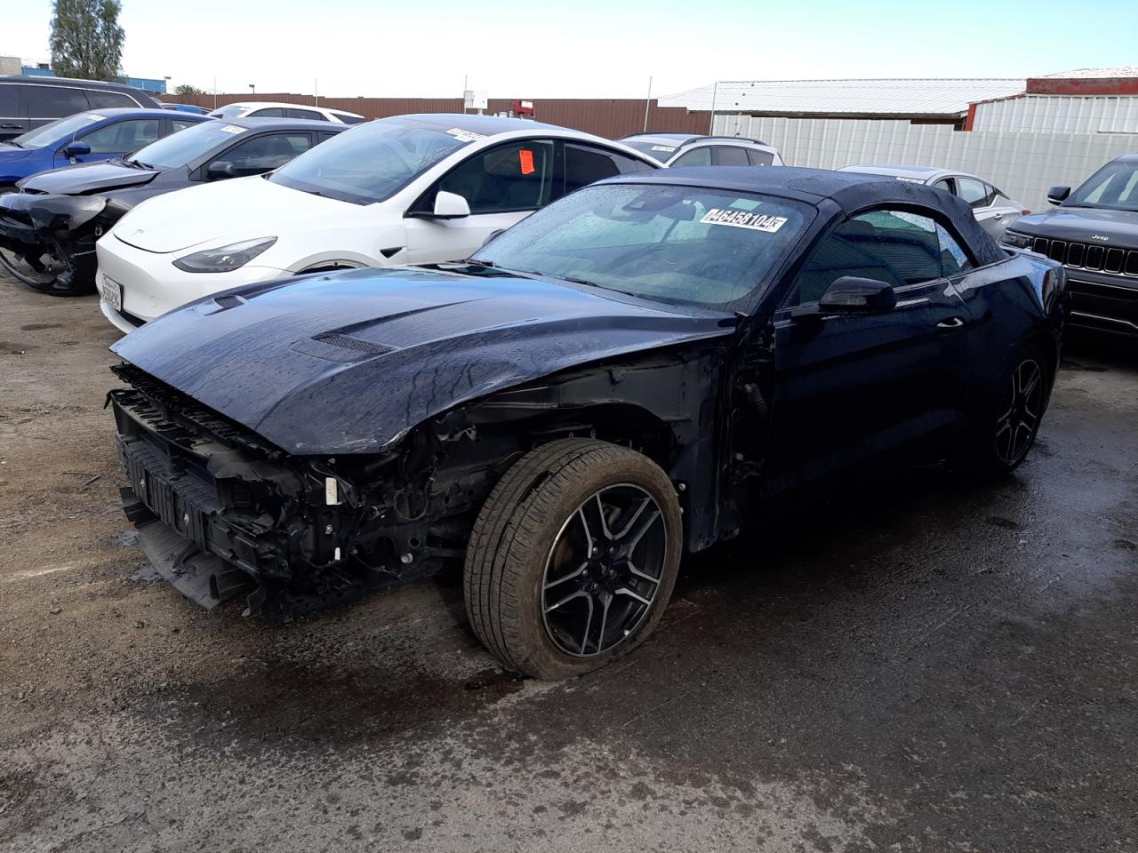 FORD MUSTANG 2022 1fatp8uh9n5106762