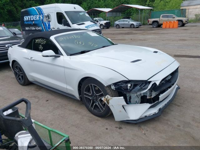 FORD MUSTANG 2019 1fatp8uhxk5158607