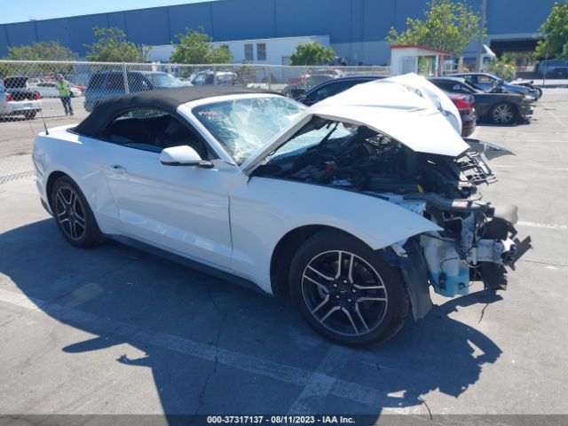 FORD MUSTANG 2019 1fatp8uhxk5170093