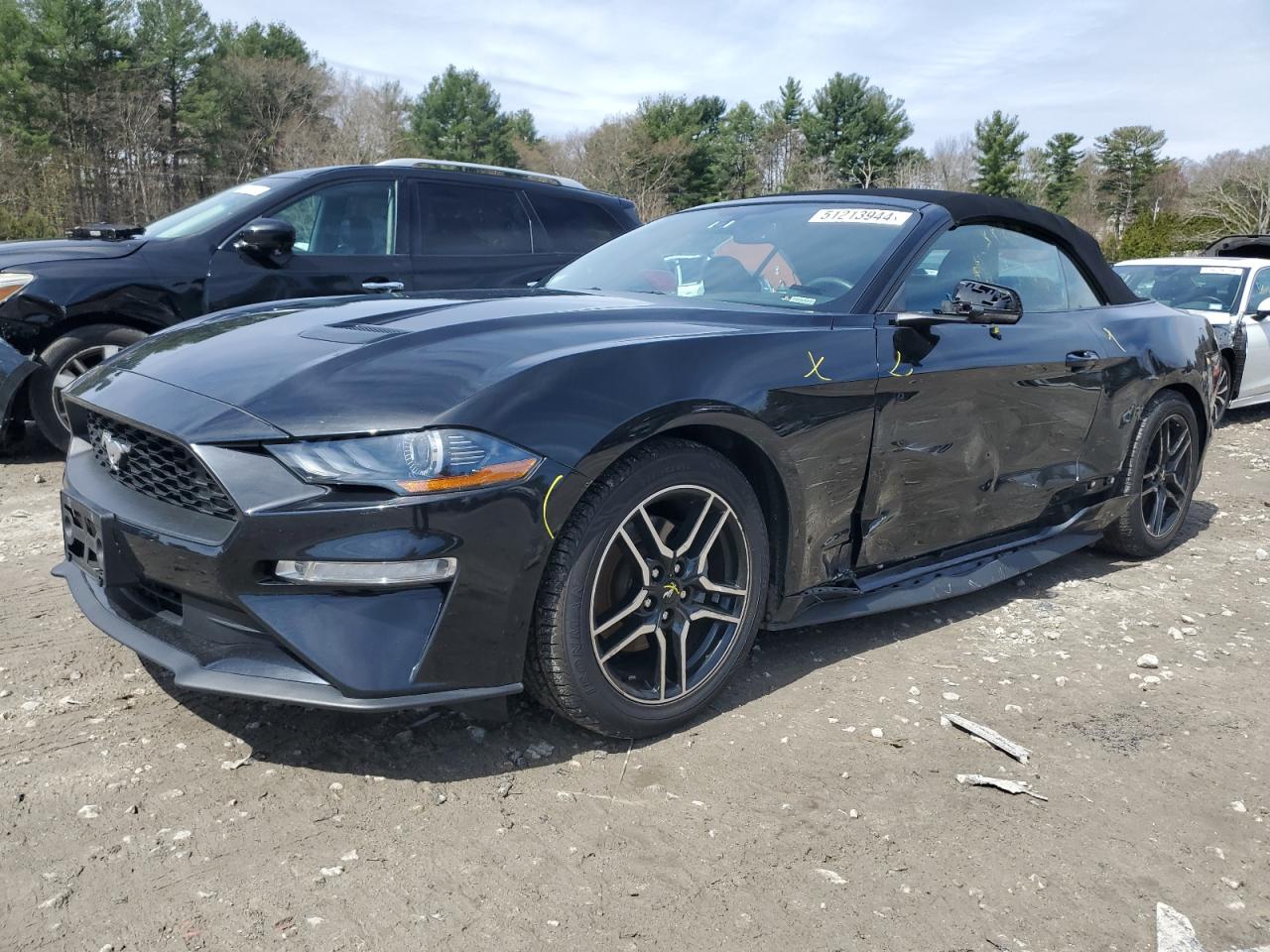 FORD MUSTANG 2019 1fatp8uhxk5179571