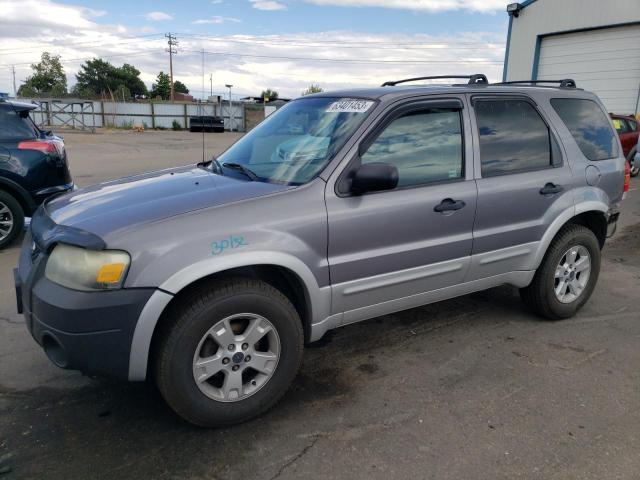 FORD ESCAPE XLT 2007 1fmcu03117ka77055