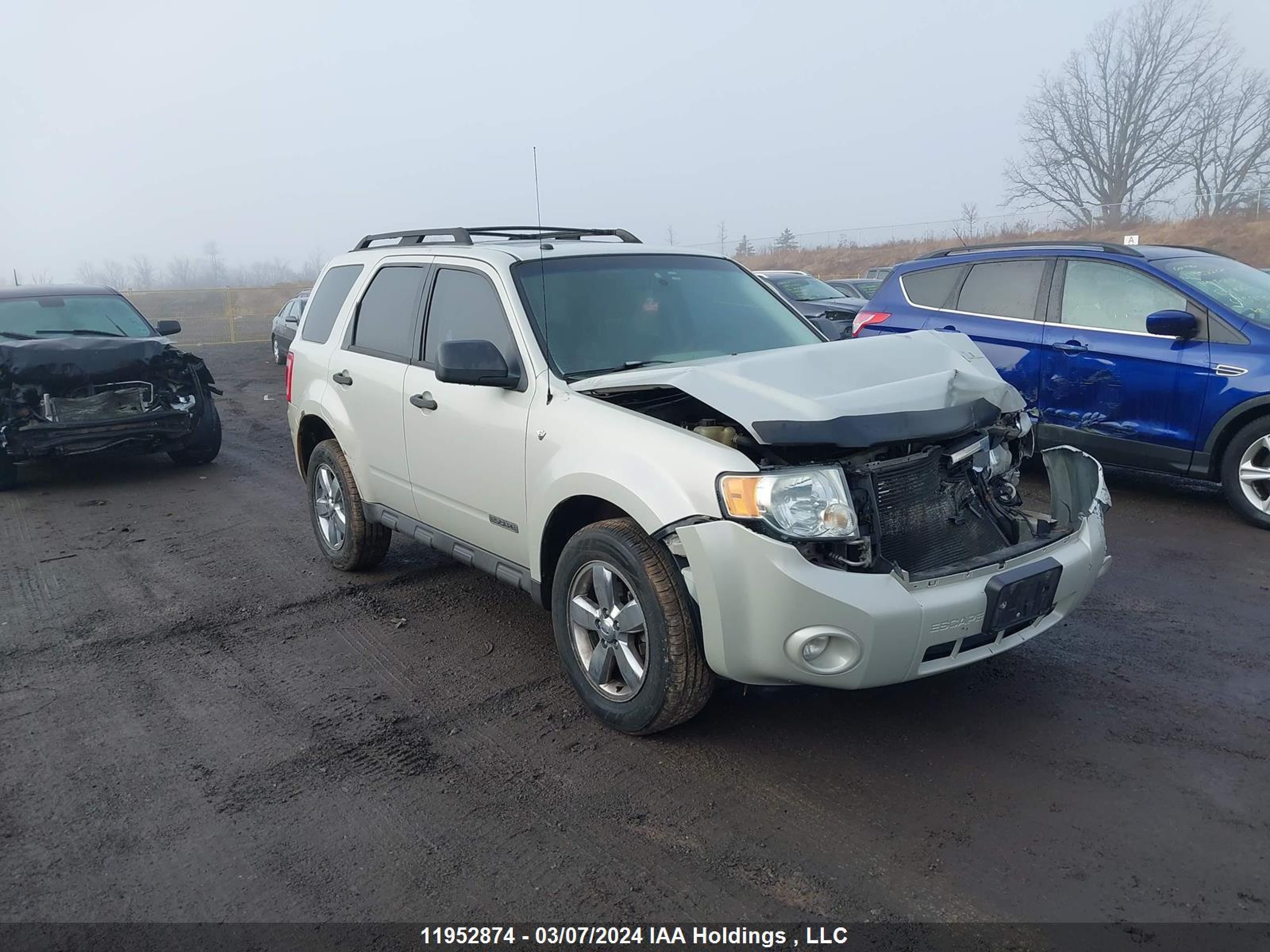 FORD ESCAPE 2008 1fmcu03138kc60393