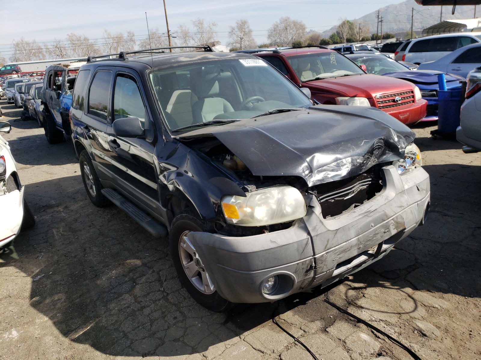 FORD ESCAPE XLT 2005 1fmcu03165kb63457