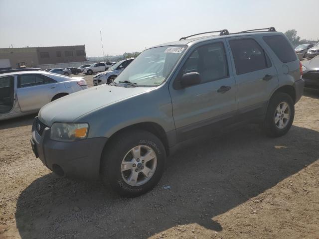 FORD ESCAPE XLT 2007 1fmcu03167ka51843