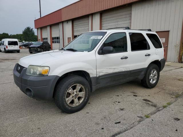 FORD ESCAPE XLT 2006 1fmcu03176kd01881