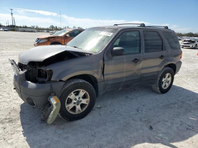 FORD ESCAPE 2006 1fmcu03186kb79189