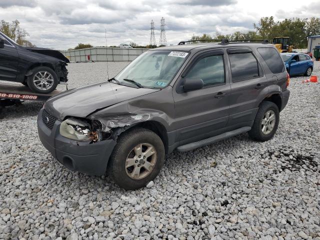 FORD ESCAPE XLT 2006 1fmcu03196kc12250