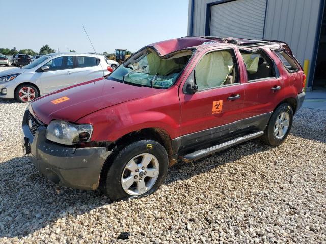 FORD ESCAPE XLT 2007 1fmcu031x7kb06567