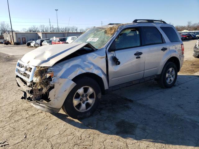 FORD ESCAPE 2009 1fmcu03719ka20653