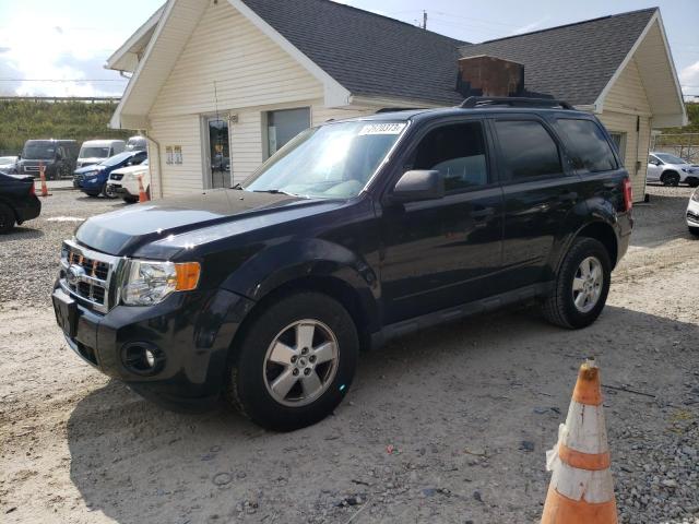 FORD ESCAPE XLT 2009 1fmcu03719kb30814