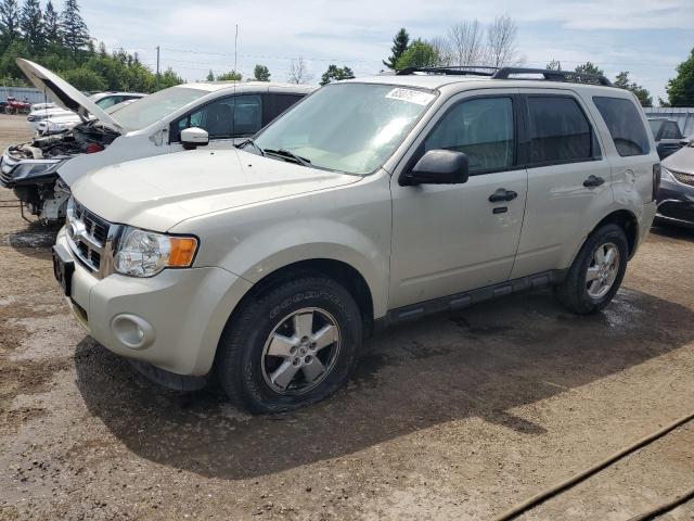 FORD ESCAPE XLT 2009 1fmcu03739ka31444