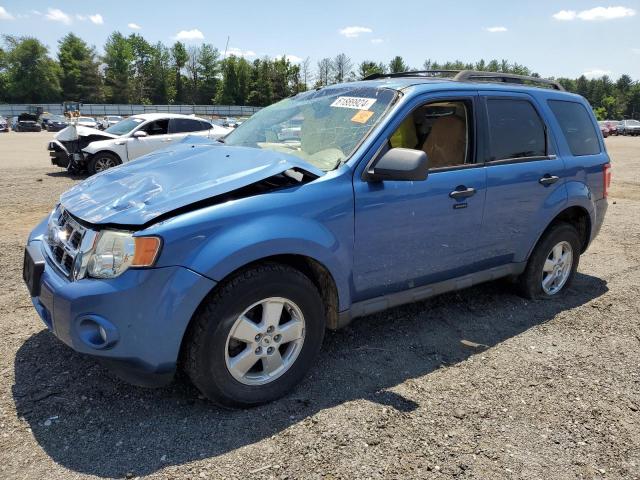 FORD ESCAPE XLT 2009 1fmcu03759ka49931