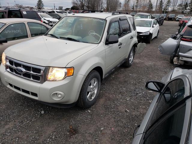 FORD ESCAPE XLT 2009 1fmcu03759ka84355