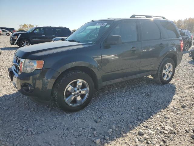 FORD ESCAPE XLT 2009 1fmcu03779kd04577