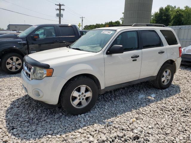 FORD ESCAPE 2009 1fmcu03789kc04066