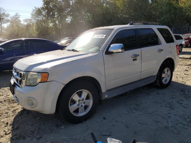 FORD ESCAPE XLT 2009 1fmcu03g09ka09210