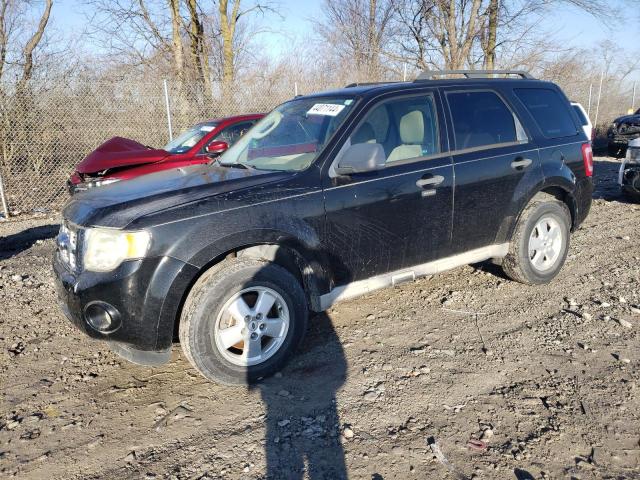 FORD ESCAPE XLT 2009 1fmcu03g09kb88378