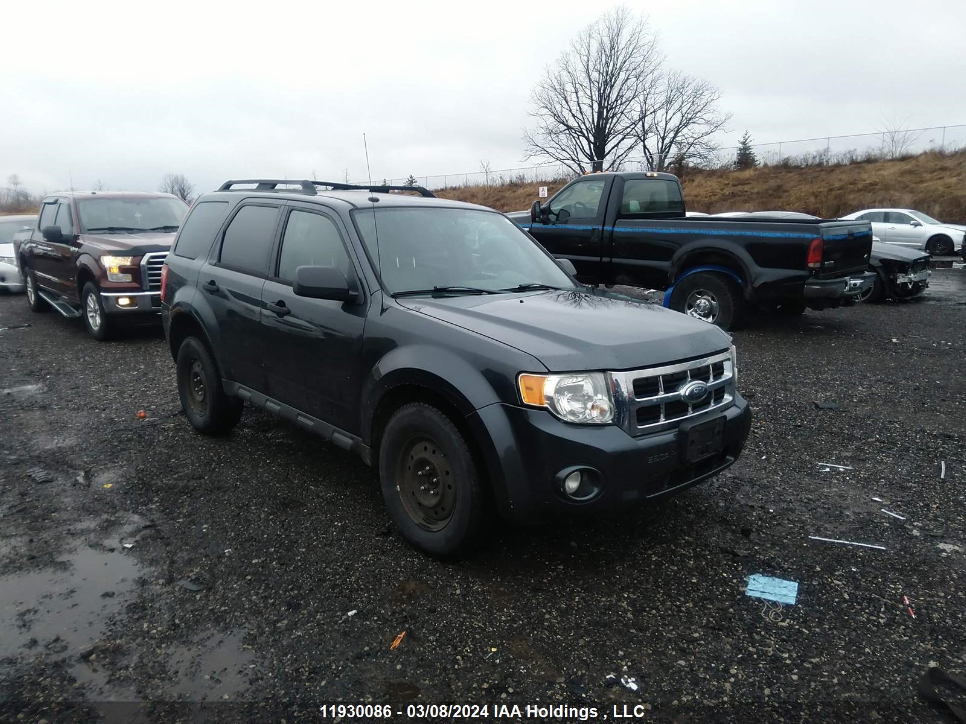 FORD ESCAPE 2009 1fmcu03g39ka04728