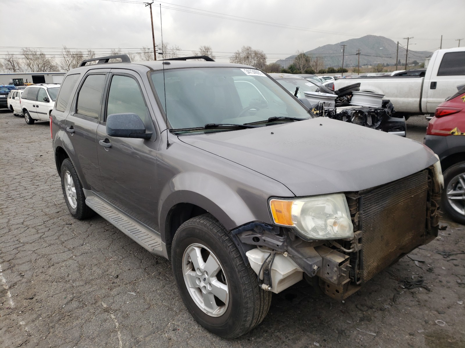 FORD ESCAPE XLT 2009 1fmcu03g49kb78047