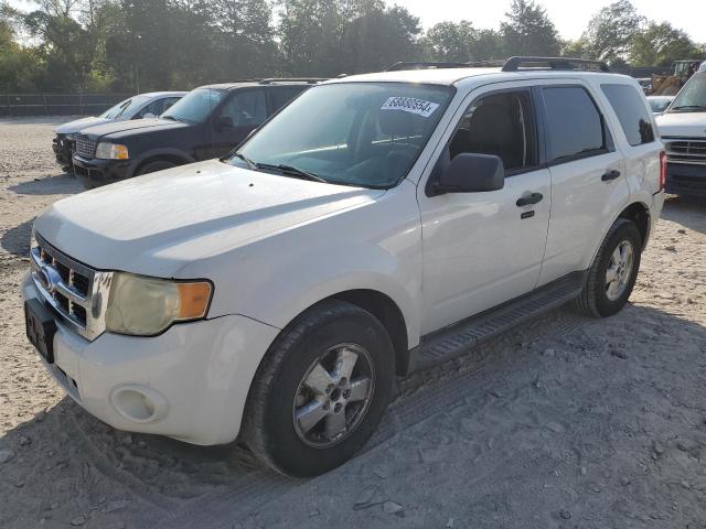 FORD ESCAPE XLT 2009 1fmcu03g59kb39466