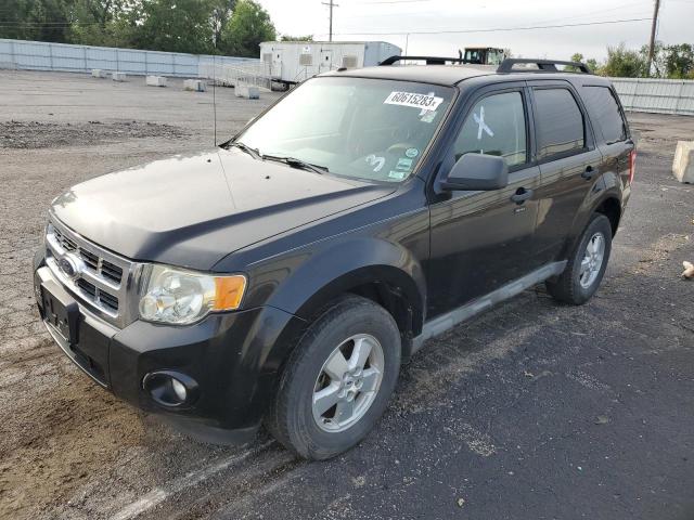 FORD ESCAPE XLT 2009 1fmcu03g89kc13026