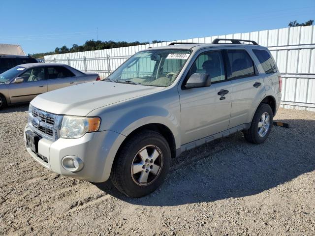 FORD ESCAPE XLT 2009 1fmcu03gx9kb19990