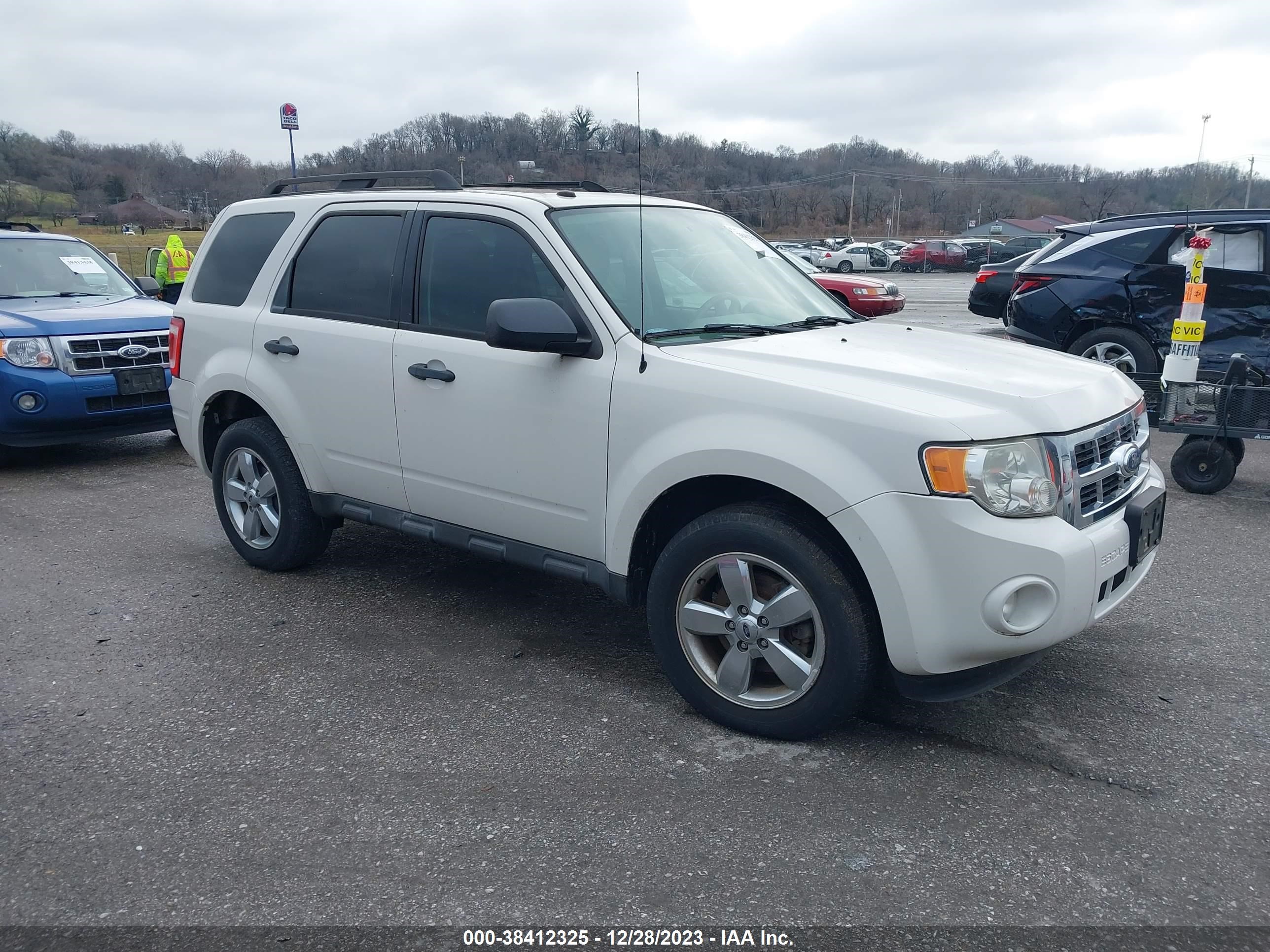 FORD ESCAPE 2009 1fmcu03gx9kd00782