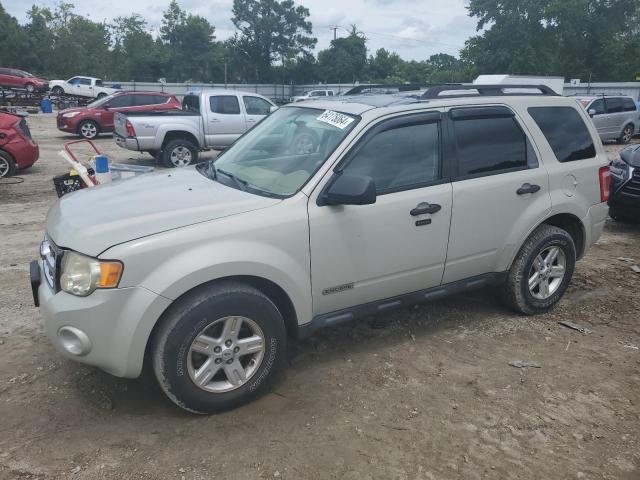 FORD ESCAPE 2008 1fmcu03z68ke49612