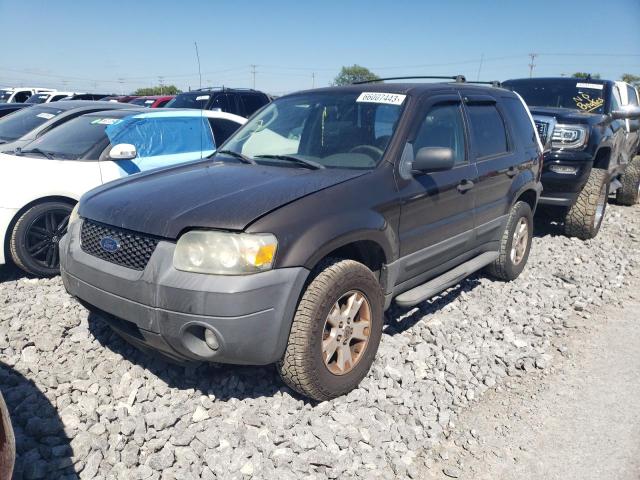 FORD ESCAPE XLT 2007 1fmcu03z87kb67664