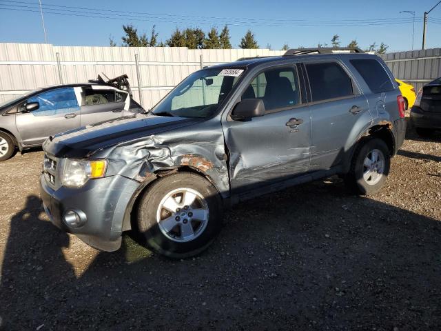 FORD ESCAPE XLT 2010 1fmcu0d70aka84265