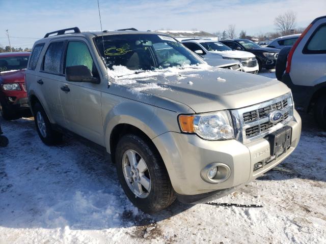 FORD ESCAPE XLT 2010 1fmcu0d70akb07110