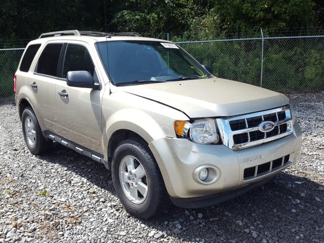 FORD ESCAPE XLT 2010 1fmcu0d70akc43138