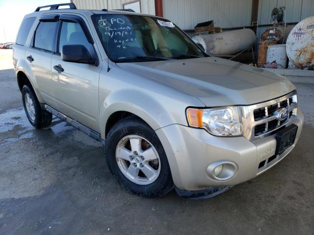 FORD ESCAPE XLT 2010 1fmcu0d70akd26732